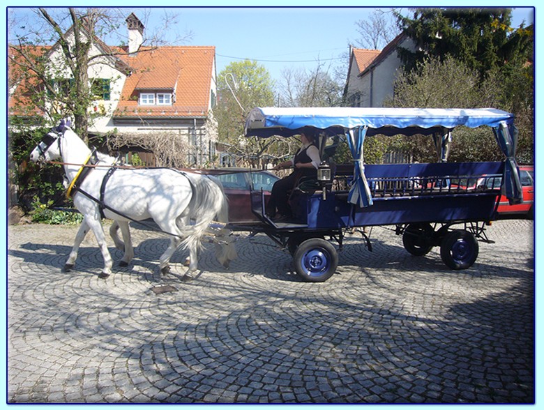 blauer Gesellschaftswagen der Kutscherei Hans Holzmann in München Schwabing