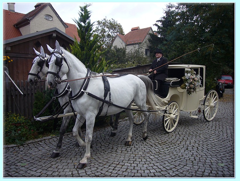 weiße zweisitziges Coupe (Hochzeitskutsche) der Kutscherei Hans Holzmann in München Schwabing